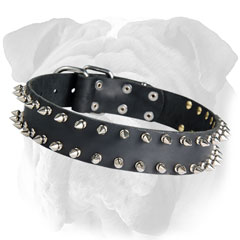 Comfortable Spiked Leather English Bulldog Collar