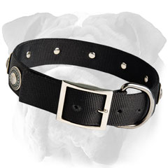 Non-Toxic Decorated Nylon English Bulldog Collar