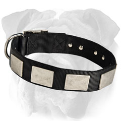 Riveted Nylon English Bulldog Collar 