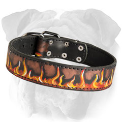 English Bulldog Flamed Leather Collar Dog Walking