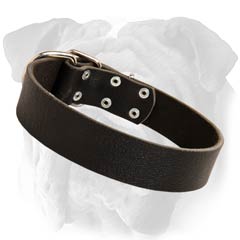 English Bulldog Leather Collar Non-Toxic Cover