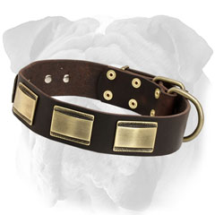 Plated Leather English Bulldog Collar