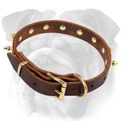 English Bulldog Spiked Leather Collar Non-Toxic