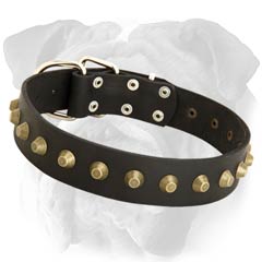 Adjustable Studded Leather English Bulldog Collar