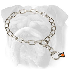 English Bulldog chain collar - stainless steel fur  saver