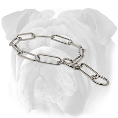 English Bulldog choke collar of stainless steel