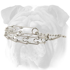 Prong collar for English Bulldog training