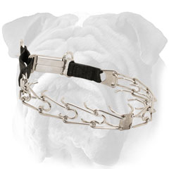 English Bulldog prong collar with front plate Stainless steel English Bulldog pinch collar for behavior correction