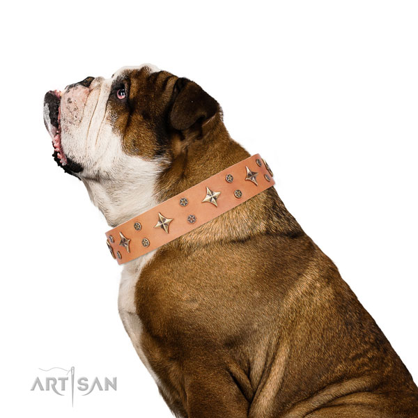 English Bulldog adorned leather dog collar for everyday use