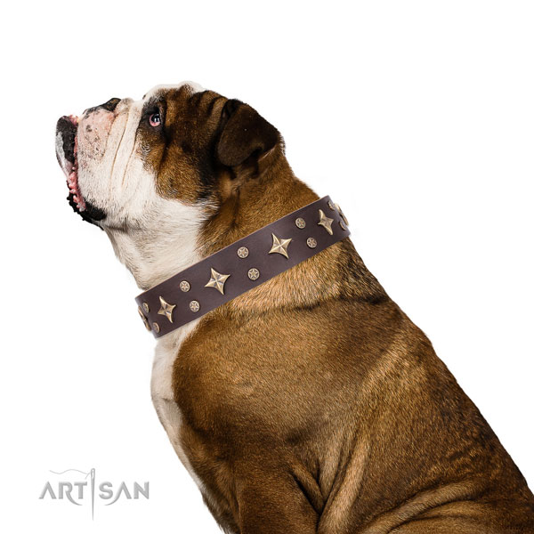 English Bulldog easy adjustable genuine leather dog collar for fancy walking