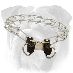 Prong collar with leather part for English Bulldog
