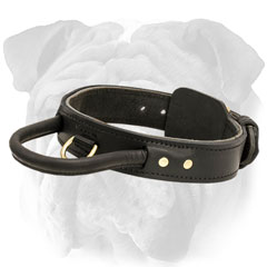 Leather Dog Collar with Handle