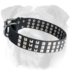 Adjustable Leather Dog Collar for English Bulldog