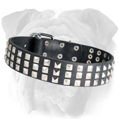 Leather English Bulldog Collar with Rivets