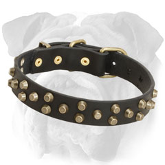 Studded Leather English Bulldog Collar
