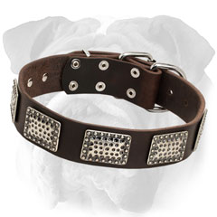 Leather Dog Collar with Vintage Plates