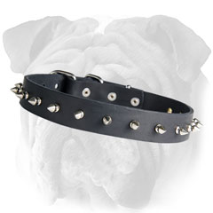 Riveted English Bulldog Collar