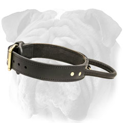 Leather Dog Collar with Buckle