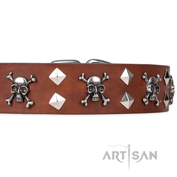 Casual leather dog collar with amazing embellishments