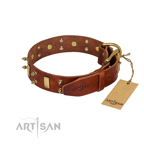 Natural leather dog collar with thoroughly polished finish