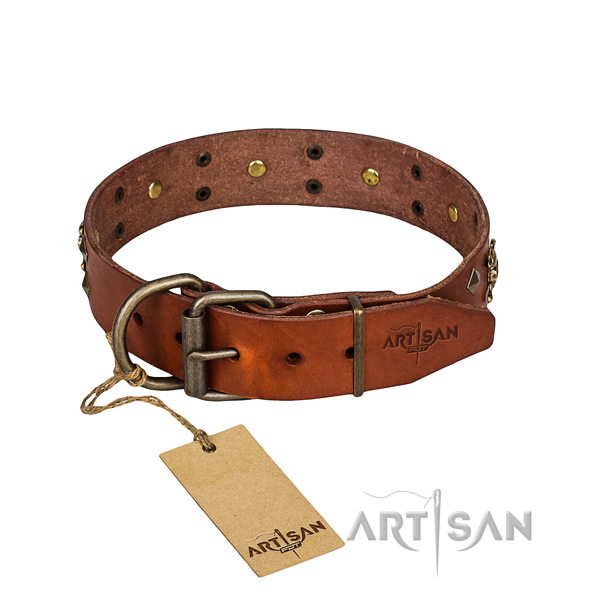 Dependable leather dog collar with rust-proof details