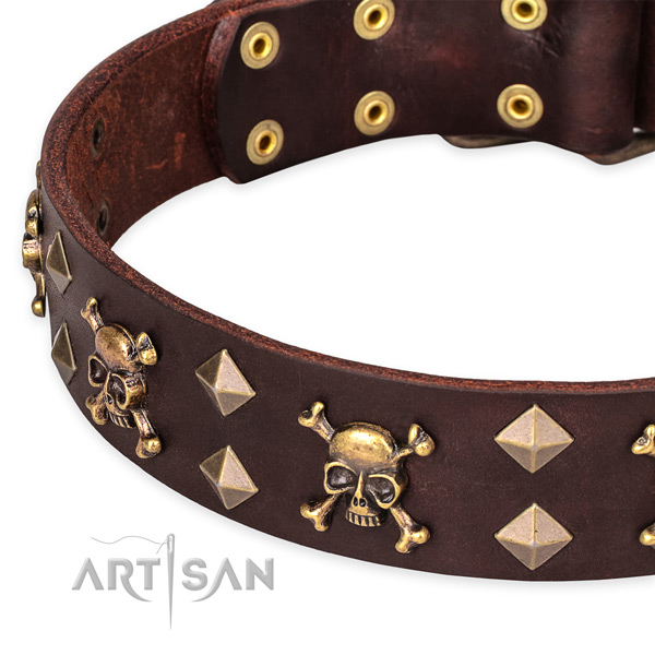 Everyday leather dog collar with incredible adornments