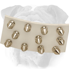 White Leather Dog Collar with Spikes