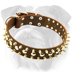 Leather English Bulldog Collar with Rivets