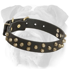 Adjustable Leather English Bulldog Collar 