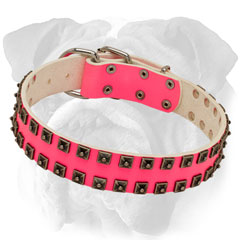 Walking Pink Leather Dog Collar