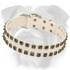 Walking White Leather Dog Collar