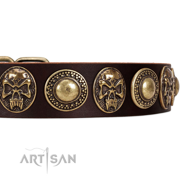 Full grain natural leather dog collar with studs for walking