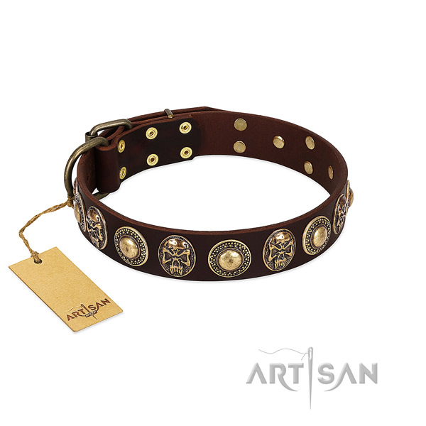 Stunning natural genuine leather dog collar for walking