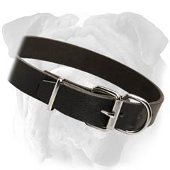 English Bulldog Stylish Leather Collar