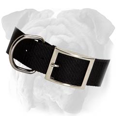 English Bulldog 2 Ply Nylon Collar