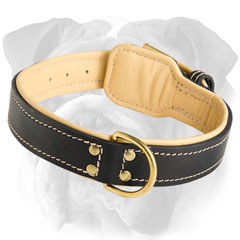 Durable Leather Dog Collar