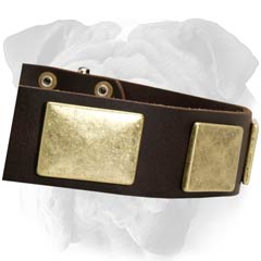 Durable Decorated Leather Dog Collar
