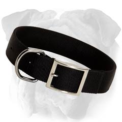 Strong Nylon English Bulldog Collar