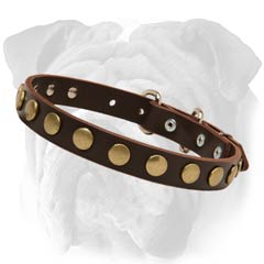 English Bulldog Decorated Leather Collar