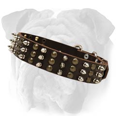 studded dog collar