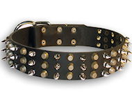 English Bulldog Leather dog collar with 3 spikes 3 old brass pyramids