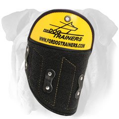 English Bulldog shoulder protector for safety while  attack training