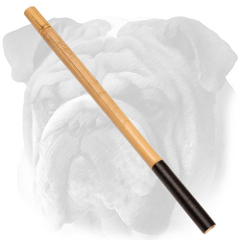 Noisy English Bulldog stick for Schutzhund training