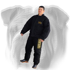 Protection suit for English Bulldog training