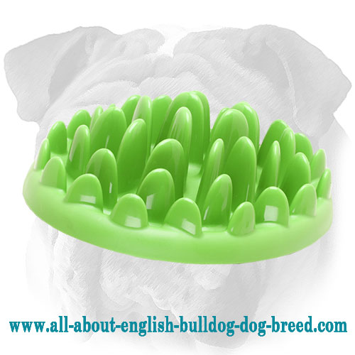 Bright English Bulldog Feeder for Slow Eating [KA171093 Interactive