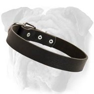 Bulldog Leather Minimalist Collar With Nickel Plated Hardware