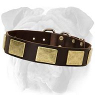 Handcrafted Leather Collar With Vintage Massive Plates for English Bulldog