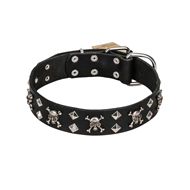 FDT Artisan 'Rock 'n' Roll Style' Fancy Leather English Bulldog Collar with Skulls, Bones and Studs 1 1/2 inch (40 mm) wide