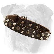 Custom Leather Dog Collar for English Bulldog With Pyramids And Studs