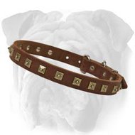 Stylish Leather Collar With Brass Studs